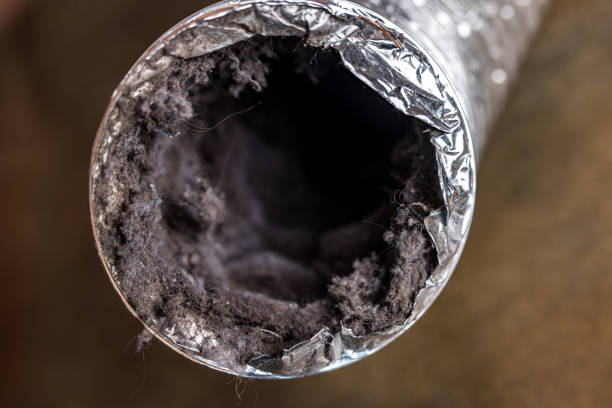 Best Dryer Vent Cleaning Services  in Aberdeen, OH